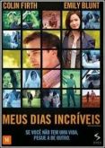 Meus Dias Incríveis